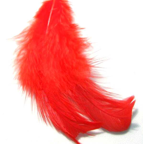 Feathers in red – 6 pieces