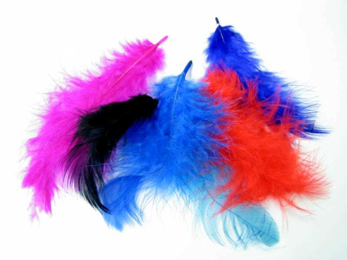 Feathers 6 pieces – in different colors